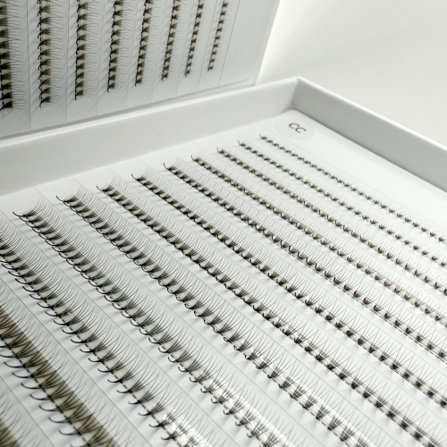 Pre Made Fans 4D C & CC Narrow