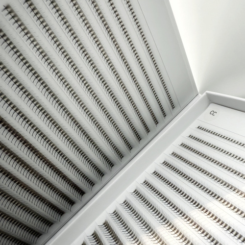 Pre Made Fans double courbure 4D Narrow